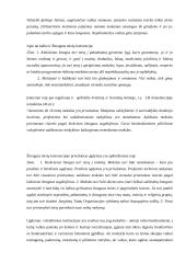 Šeimos teisiniai aspektai 6 puslapis