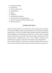 Šeimos teisiniai aspektai 10 puslapis