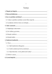 Šeimų, kuriose yra vaikų su psichiniais sutrikimais, problema 2 puslapis