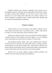 Šeimų, kuriose yra vaikų su psichiniais sutrikimais, problema 3 puslapis