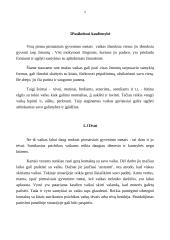 Šeimų, kuriose yra vaikų su psichiniais sutrikimais, problema 9 puslapis