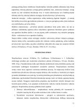 Šiuolaikinės biurokratijos teorijos 11 puslapis