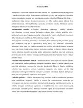 Šiuolaikinės biurokratijos teorijos 13 puslapis