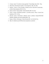 Šiuolaikinės biurokratijos teorijos 17 puslapis