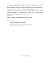 Šiuolaikinės biurokratijos teorijos 3 puslapis