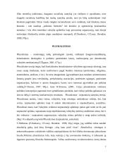 Šiuolaikinės biurokratijos teorijos 7 puslapis