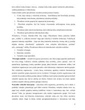 Šiuolaikinės biurokratijos teorijos 8 puslapis