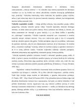 Šiuolaikinės biurokratijos teorijos 9 puslapis