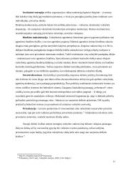 Svarbiausios šiuolaikinės biurokratijos teorijos 11 puslapis