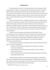 Svarbiausios šiuolaikinės biurokratijos teorijos 12 puslapis