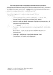 Svarbiausios šiuolaikinės biurokratijos teorijos 13 puslapis