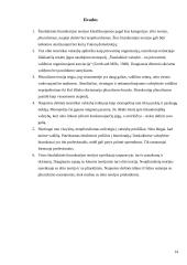 Svarbiausios šiuolaikinės biurokratijos teorijos 14 puslapis