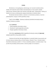 Svarbiausios šiuolaikinės biurokratijos teorijos 3 puslapis