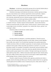 Svarbiausios šiuolaikinės biurokratijos teorijos 8 puslapis