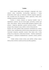 Tarpsektorinio bendradarbiavimo ypatumai 2 puslapis