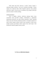 Tarpsektorinio bendradarbiavimo ypatumai 5 puslapis