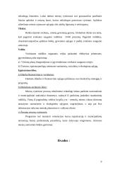 Tarpsektorinio bendradarbiavimo ypatumai 9 puslapis
