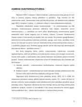 Teisė kreiptis teisminės gynybos pagal administracinių bylų teisenos įstatymą 8 puslapis