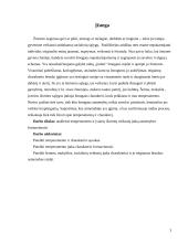 Temperamento ir įvairių išorinių veiksnių įtaka asmenybes formavimuisi 3 puslapis