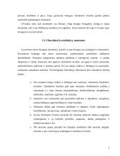 Temperamento ir įvairių išorinių veiksnių įtaka asmenybes formavimuisi 5 puslapis