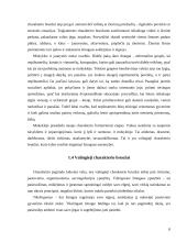 Temperamento ir įvairių išorinių veiksnių įtaka asmenybes formavimuisi 8 puslapis