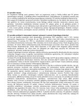 Vidurio ir Rytų Europos valstybių europeizacija 3 puslapis