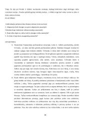 Teorijų palyginamoji analizė: Z. Freudas ir A. Adleris 13 puslapis