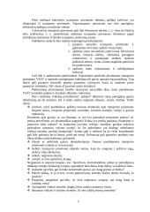 Transporto priemonių tikrinimas pasienio kontrolės punkte 6 puslapis