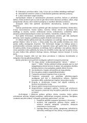 Transporto priemonių tikrinimas pasienio kontrolės punkte 7 puslapis
