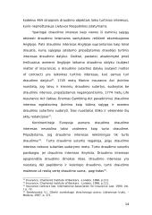 Turto draudimo sutartis: samprata, turinys bei sudarymas ir pasibaigimas 14 puslapis