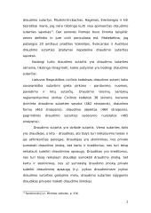 Turto draudimo sutartis: samprata, turinys bei sudarymas ir pasibaigimas 7 puslapis