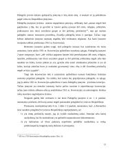 Užsieniečių teisinis statusas 11 puslapis