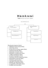 Viešojo administravimo teorijos 15 puslapis