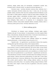 Agroekologijos sistema 4 puslapis