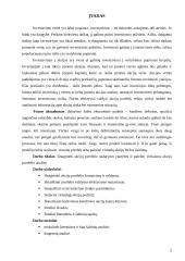 Akcijų portfelio sudarymo ypatybės. Virtualaus akcijų portfelio sudarymas ir analizė 2 puslapis