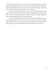 Akcijų portfelio sudarymo ypatybės. Virtualaus akcijų portfelio sudarymas ir analizė 13 puslapis