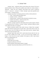 Akcijų portfelio sudarymo ypatybės. Virtualaus akcijų portfelio sudarymas ir analizė 15 puslapis