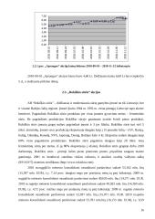 Akcijų portfelio sudarymo ypatybės. Virtualaus akcijų portfelio sudarymas ir analizė 16 puslapis