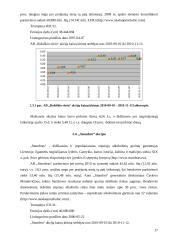 Akcijų portfelio sudarymo ypatybės. Virtualaus akcijų portfelio sudarymas ir analizė 17 puslapis