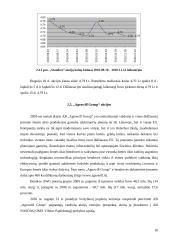 Akcijų portfelio sudarymo ypatybės. Virtualaus akcijų portfelio sudarymas ir analizė 18 puslapis