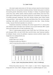Akcijų portfelio sudarymo ypatybės. Virtualaus akcijų portfelio sudarymas ir analizė 20 puslapis