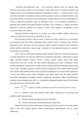 Akcijų portfelio sudarymo ypatybės. Virtualaus akcijų portfelio sudarymas ir analizė 9 puslapis