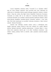 Vyriausybės vykdoma kontrolė 14 puslapis