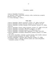 Vyriausybės vykdoma kontrolė 15 puslapis