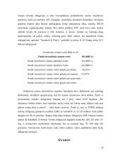 Akcijų valdymas 13 puslapis