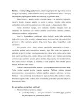 Akvarelės technika vaikų darželyje 2 puslapis