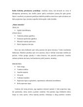 Akvarelės technika vaikų darželyje 7 puslapis