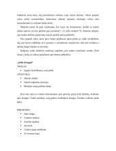 Akvarelės technika vaikų darželyje 8 puslapis