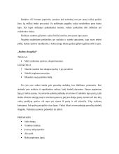 Akvarelės technika vaikų darželyje 9 puslapis