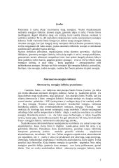 Alternatyvių energijos šaltinių paieška. Ekonominių ir energetinių problemų sprendimas 2 puslapis